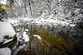 South mountain stream in winter woods Royalty Free Stock Photo