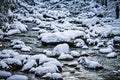 South mountain stream in winter woods Royalty Free Stock Photo