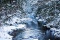 South mountain stream in winter woods Royalty Free Stock Photo