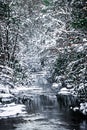 South mountain stream in winter woods Royalty Free Stock Photo