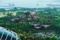 Super Tree grove from the Singapore Flyer