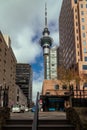 The Sky Tower, Auckland, New Zealand from Cathedral of St Patrick & St Joseph