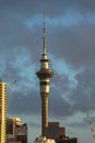 The Sky Tower at sunset, Auckland, New Zealand