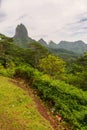 View from Belvedere Lookout Moorea, French Polynesia