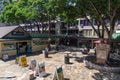 Waikiki Market Place, Waikiki, Hawaii