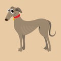 South Russian Hound. Vector illustration of a dog.