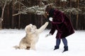 South Russian Shepherd Dog is giving a paw its owner on a background of winter coniferous forest