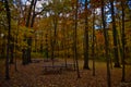 Picnic tables under the falling leaves at Devils Lake State Park Royalty Free Stock Photo