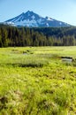 South Sister and Meadow