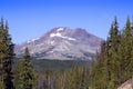 South Sister Mountain through the Trees