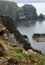 South Stack Royalty Free Stock Photo