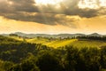 South styria vineyards landscape, near Gamlitz, Austria, Eckberg, Europe. Grape hills view from wine road in spring Royalty Free Stock Photo