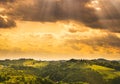 South styria vineyards landscape, near Gamlitz, Austria, Eckberg, Europe. Grape hills view from wine road in spring Royalty Free Stock Photo