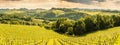 South styria vineyards landscape, near Gamlitz, Austria, Eckberg, Europe. Grape hills view from wine road in spring