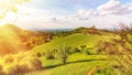 South styria vineyards landscape, near Gamlitz, Austria, Eckberg, Europe. Grape hills view from wine road in spring. Tourist Royalty Free Stock Photo