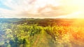 South styria vineyards landscape, near Gamlitz, Austria, Eckberg, Europe. Grape hills view from wine road in spring. Tourist