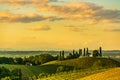 South styria vineyards landscape, near Gamlitz, Austria, Europe. Grape hills view from wine road in spring. Tourist destination, Royalty Free Stock Photo