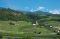 South tyrol landscape with vineyard at the hill and village church Royalty Free Stock Photo