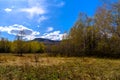 South Ural forest with a unique landscape, vegetation and diversity of nature.