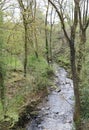 south wales mountain stream Royalty Free Stock Photo