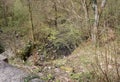 south wales mountain stream Royalty Free Stock Photo