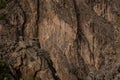 The South Wall Texture of Black Canyon