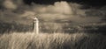 South Walney Lighthouse Mono Royalty Free Stock Photo