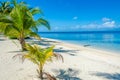 South Water Caye - Small tropical island at Barrier Reef with paradise beach - known for diving, snorkeling and relaxing vacations