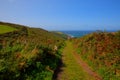 South west coast path Portheras Cove Cornwall near St Ives Royalty Free Stock Photo