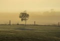 Warrnambool. Australian Pacific coast. Misty morning.