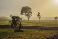 Warrnambool. Australian Pacific coast. Misty morning.