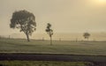 Warrnambool. Australian Pacific coast. Misty morning.