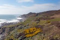 South West Coastal Path Woolacombe Devon