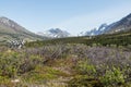 Southcentral Alaskan Landscape Royalty Free Stock Photo