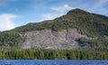 Southeast Alaskan Clearcut Royalty Free Stock Photo