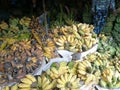 Tropical Food Crisis Southeast Asia Central Vietnam Hue Dong Ba Market Vietnamese Farmers Fresh Fruit Bananas Vegan Organic Banana Royalty Free Stock Photo