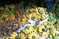 Tropical Food Crisis Southeast Asia Central Vietnam Hue Dong Ba Market Vietnamese Farmers Fresh Fruit Bananas Vegan Organic Banana