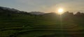 southeast asia rice field with mountain view