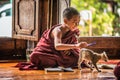 Southeast Asian child monk gets distracted by a cat from learning at Shwe Yan Phe Monastery.