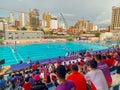 Southeast Asian Games water polo Singapore Indonesia