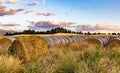 Bales of hay on a barley field at sunset in Wanaka Otago New Zealand Royalty Free Stock Photo