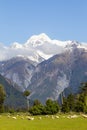 Southern Alps Landscapes. Mount Cook. New Zealand Royalty Free Stock Photo