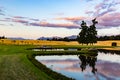 Reflections on a lake at a barley field at sunset with the backdrop of barley field and the Southern Alps Wanaka Otago New Zealand Royalty Free Stock Photo