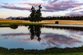 Reflections in a lake on a barley field at sunset with the backdrop of the Southern Alps in Wanaka Otago New Zealand Royalty Free Stock Photo