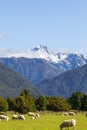 Southern Alps Views. Mount Cook and mount Tasman. South Island, New Zealand Royalty Free Stock Photo