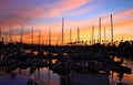 Sailboats sunset Long Beach Harbor Royalty Free Stock Photo