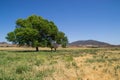 The Southern California landscape.