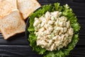 Southern chicken salad with celery, eggs and green onions with toast close-up on a plate. Horizontal top view Royalty Free Stock Photo