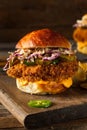 Southern Country Fried Chicken Sandwich Royalty Free Stock Photo