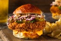 Southern Country Fried Chicken Sandwich Royalty Free Stock Photo